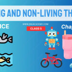 Class 5 Science Chapter 1 Living and Non-Living Things – Best Notes(www.jngacademy.com)