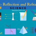 light-reflection-and-refraction-class-10-science-best-notes(www.jngacademy.com)